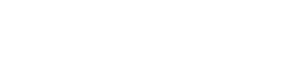 Elevate Security Logo